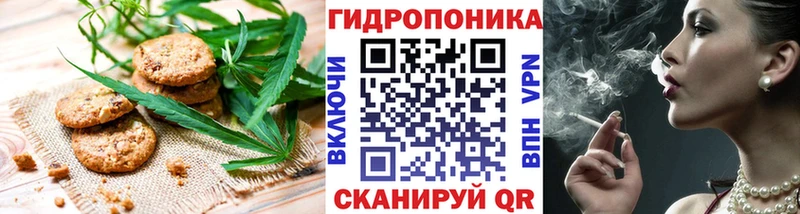 KRAKEN tor  Мурино  Canna-Cookies конопля 