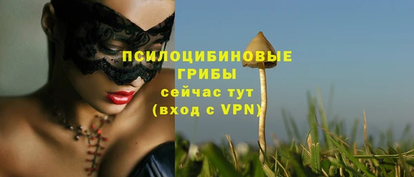 мяу мяу мука Навашино