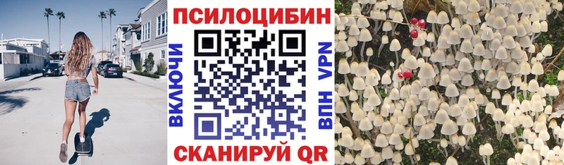 Псилоцибиновые грибы MAGIC MUSHROOMS  хочу наркоту  Мурино 