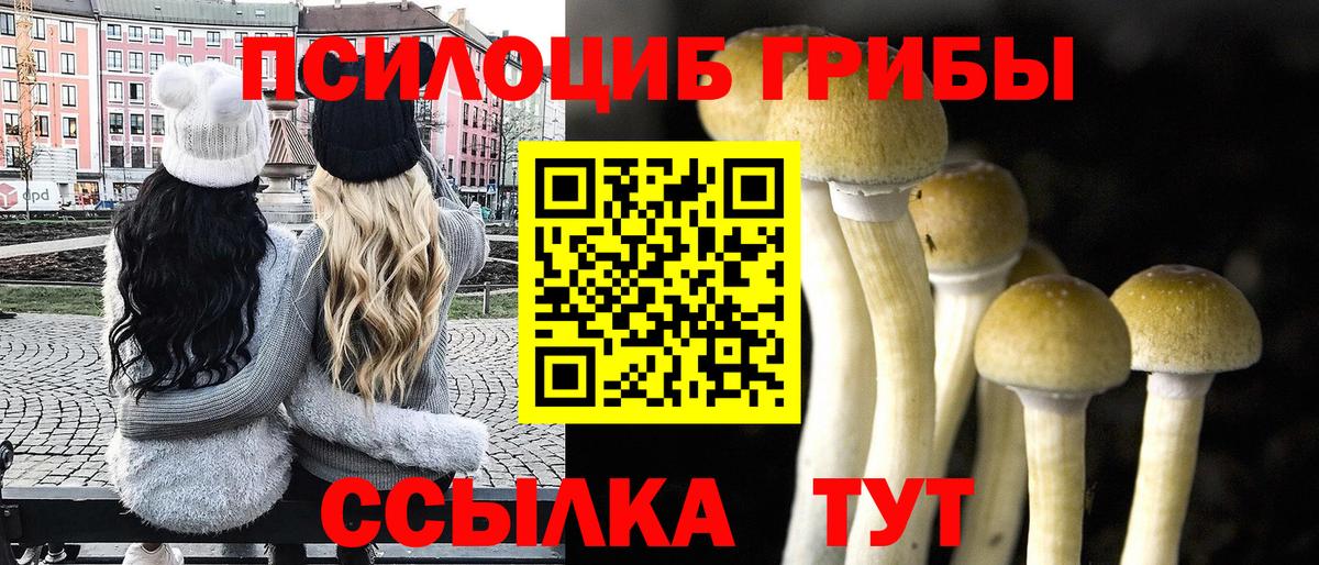 Галлюциногенные грибы MAGIC MUSHROOMS  Вход с VPN  где купить   Мурино 