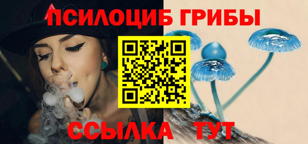 Галлюциногенные грибы мицелий Мурино