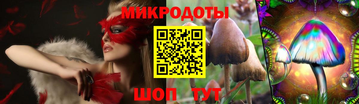 Галлюциногенные грибы прущие грибы  Мурино 